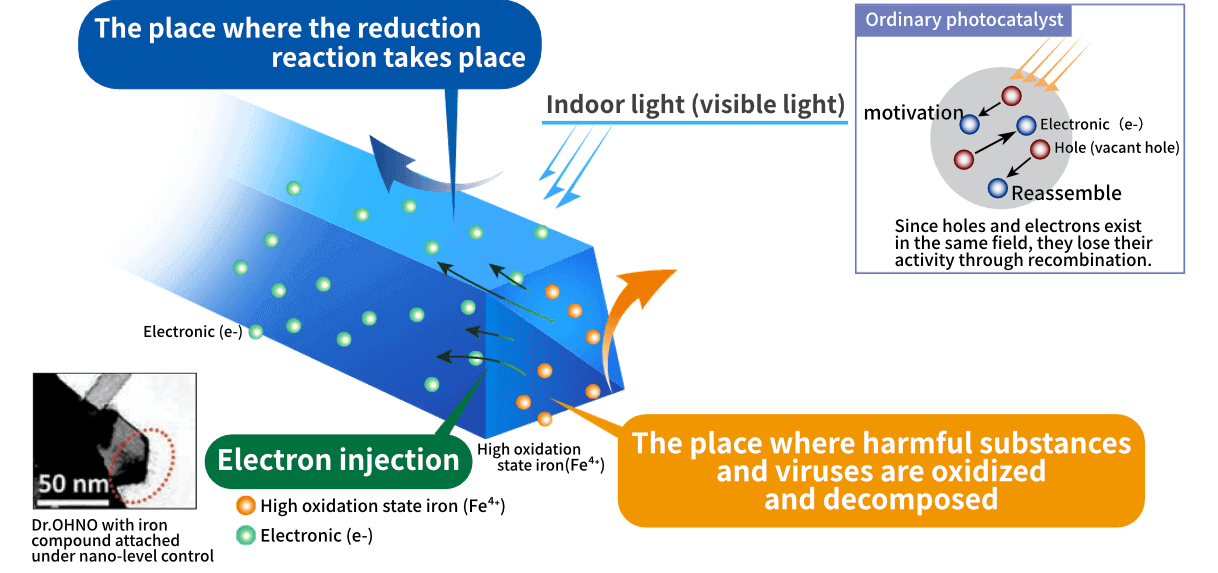 There are two types of photocatalysts: those that receive indoor light (visible light) and proceed with reduction reactions, and those that proceed with oxidative decomposition of harmful substances and viruses. In general photocatalysts, holes (holes) and electrons exist in the same place, so activity is lost by recombination.